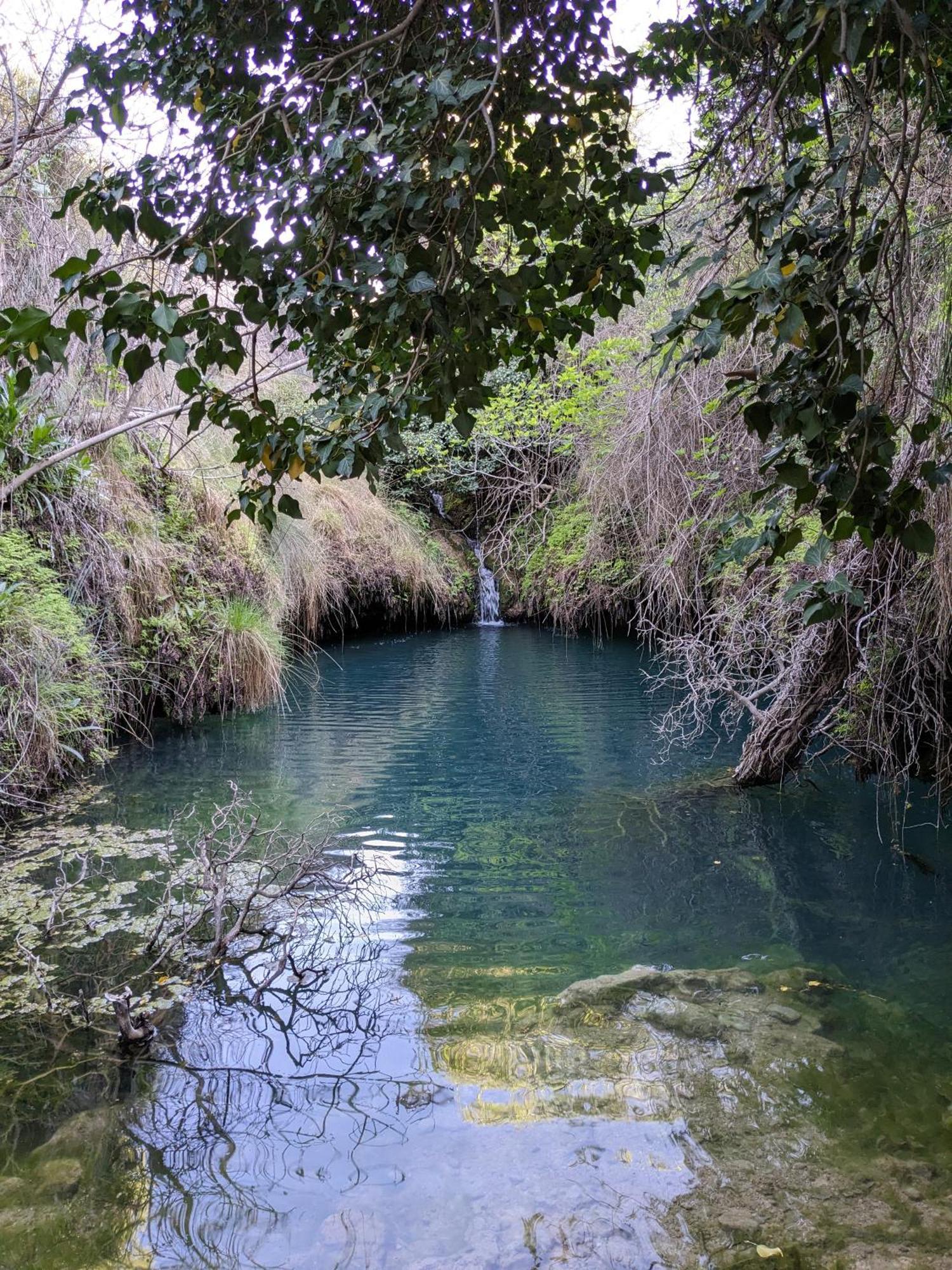 Casa Rural El Olivo Villamalea Kültér fotó